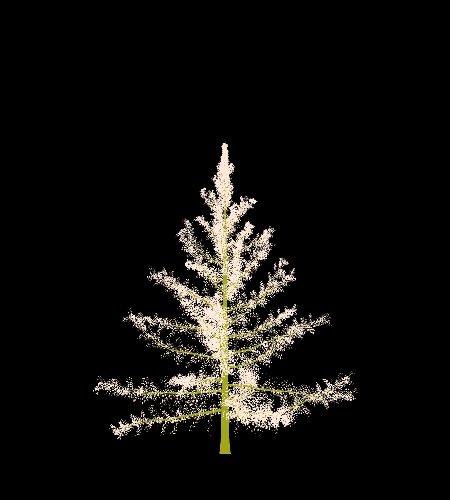 Treee