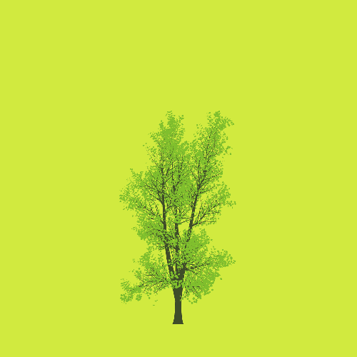 Treee