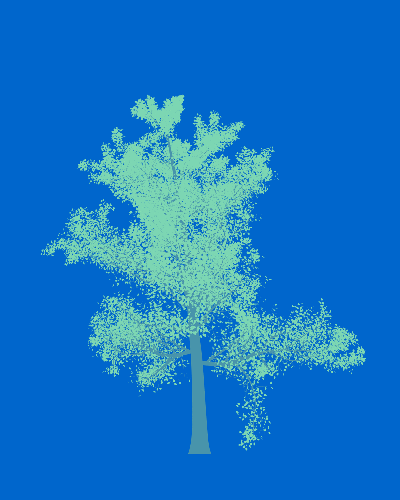 Treee
