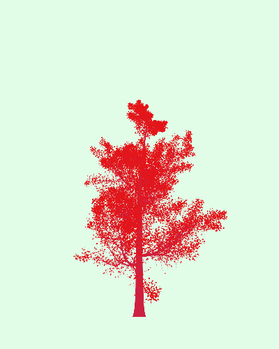 Treee