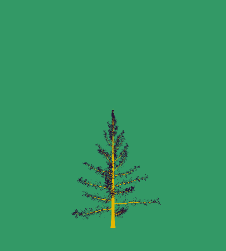 Treee