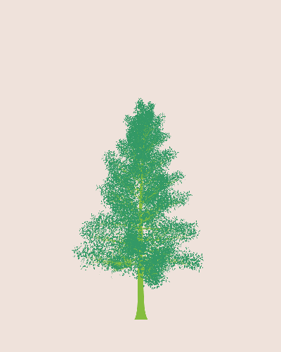Treee