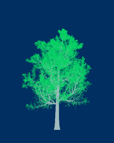 Treee