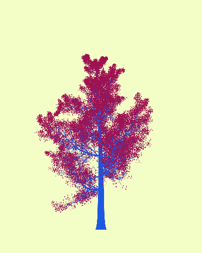 Treee