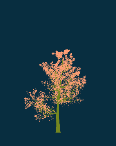 Treee