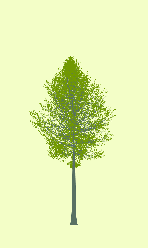 Treee