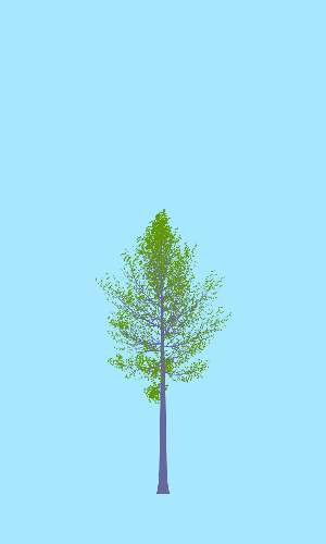 Treee