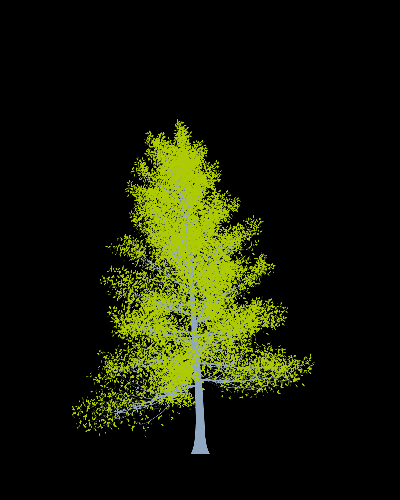 Treee