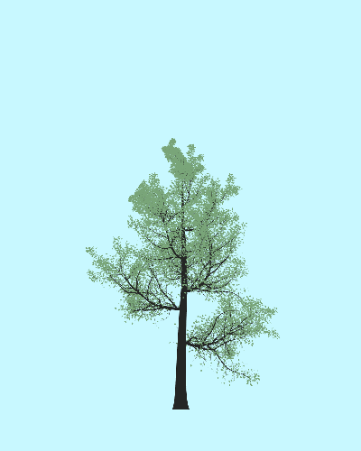 Treee
