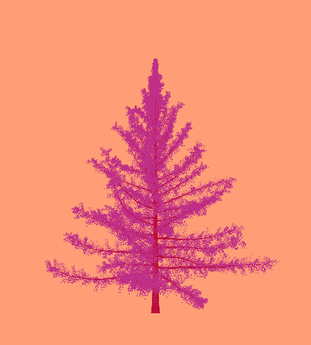 Treee