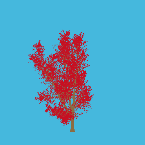 Treee