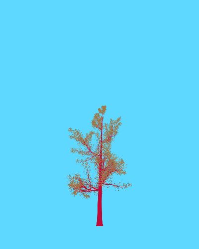 Treee