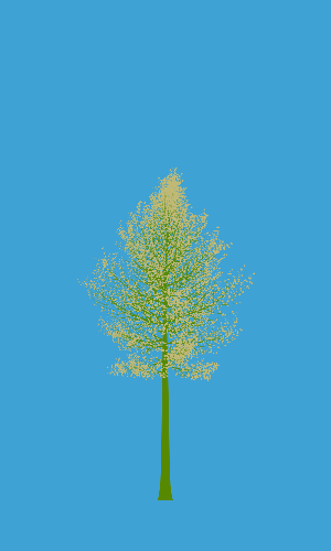 Treee
