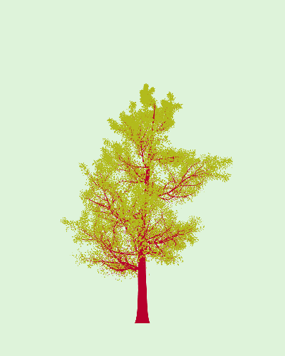 Treee