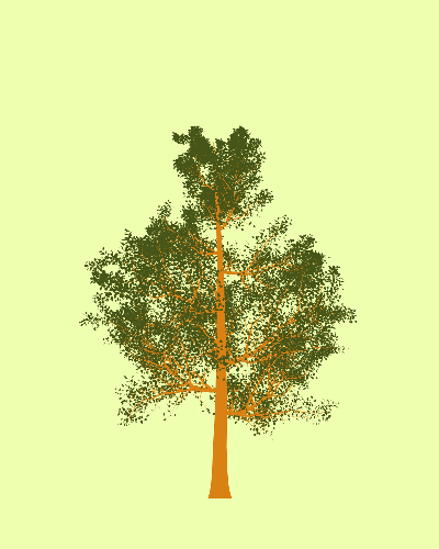 Treee