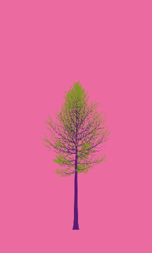 Treee