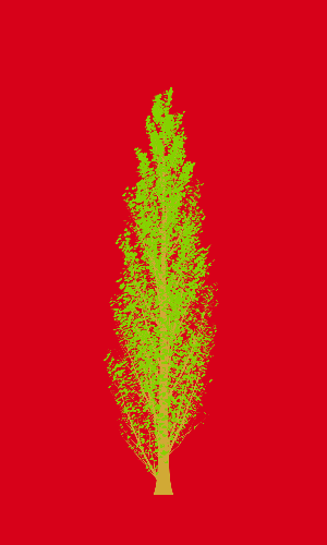 Treee