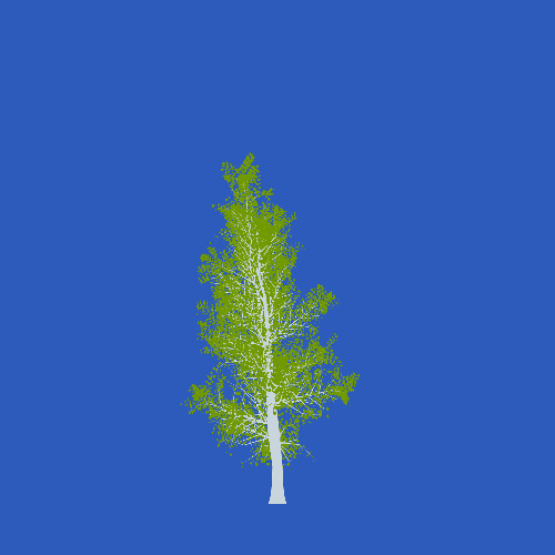 Treee