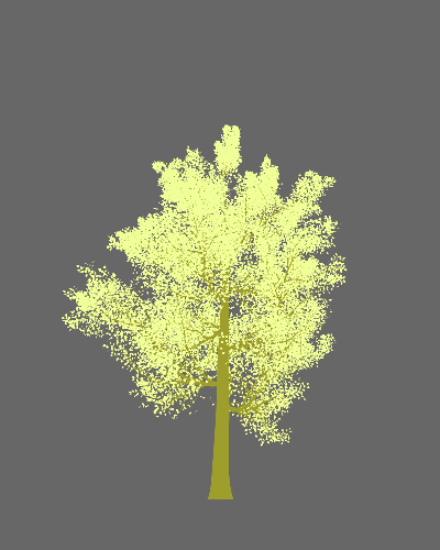 Treee