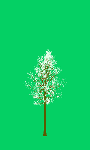 Treee