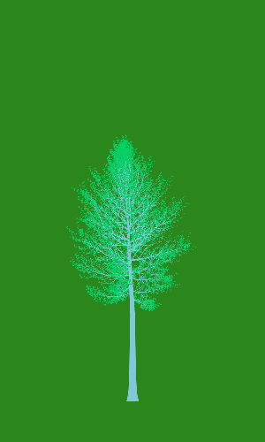 Treee