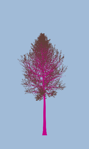 Treee