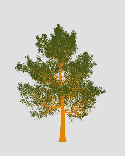 Treee
