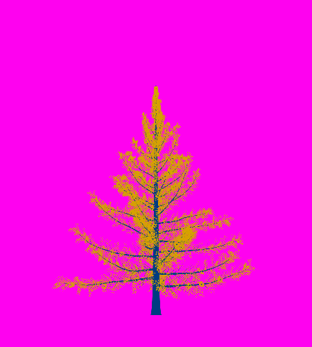 Treee