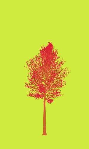 Treee