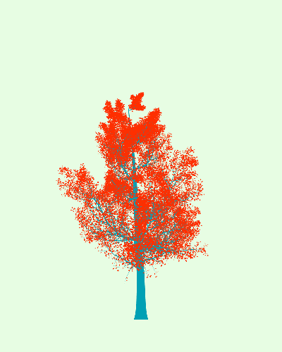 Treee