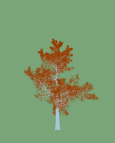Treee