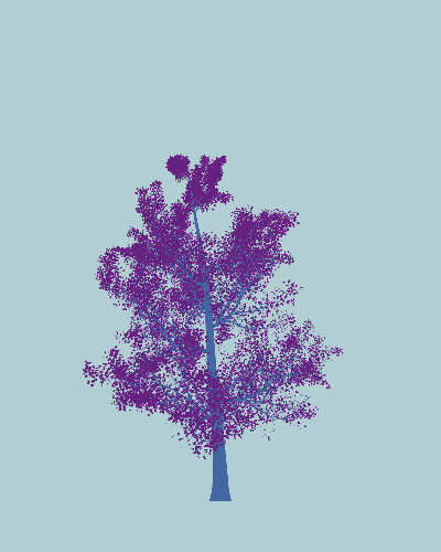 Treee