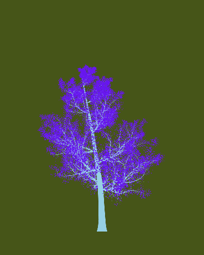Treee