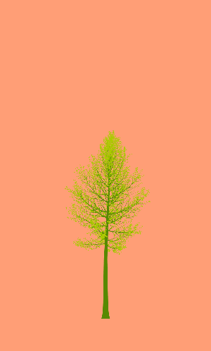 Treee