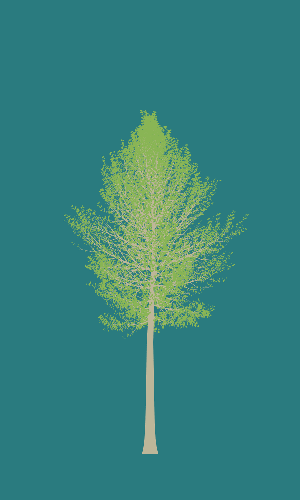 Treee