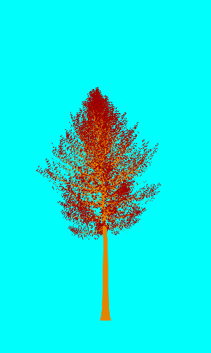 Treee