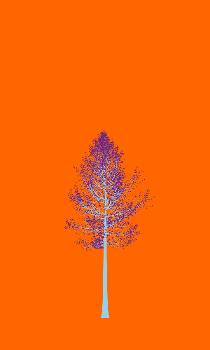 Treee