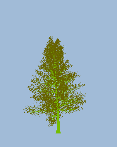 Treee