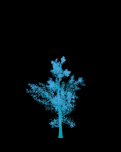 Treee