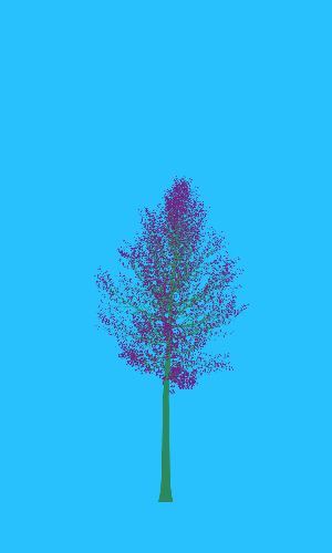 Treee