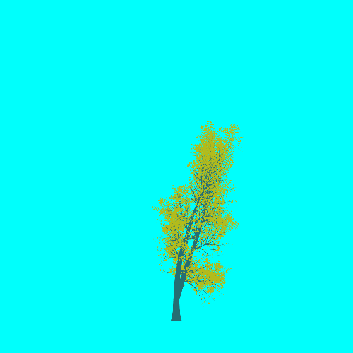 Treee