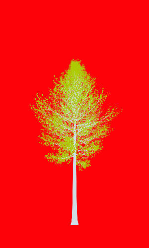 Treee