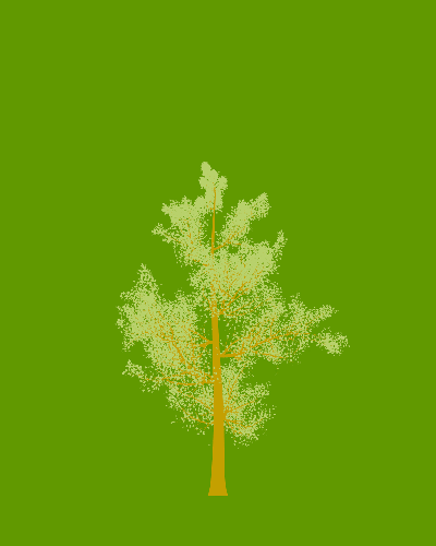Treee
