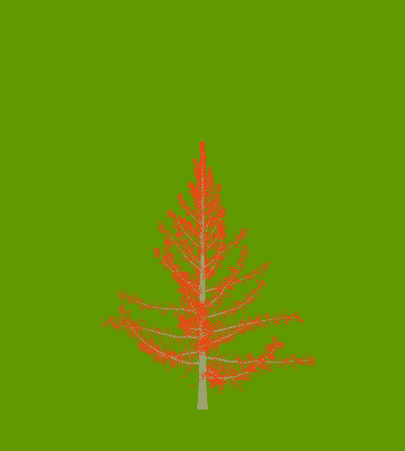 Treee