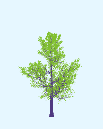 Treee