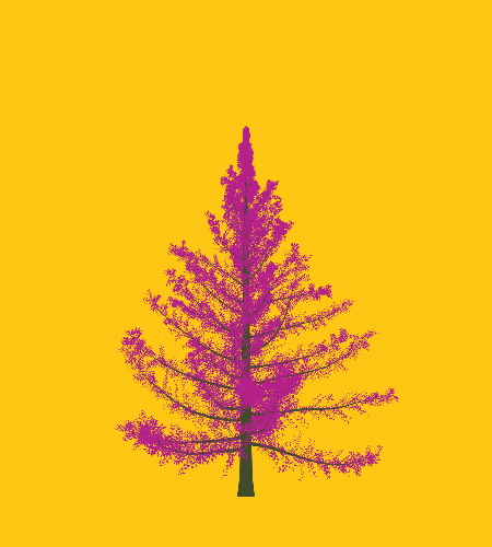 Treee