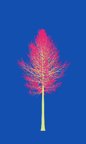 Treee