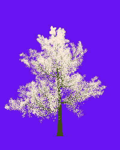 Treee