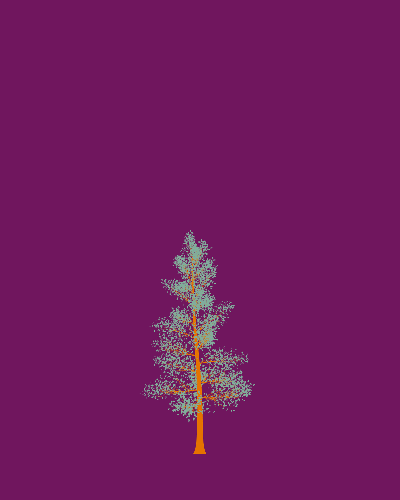 Treee