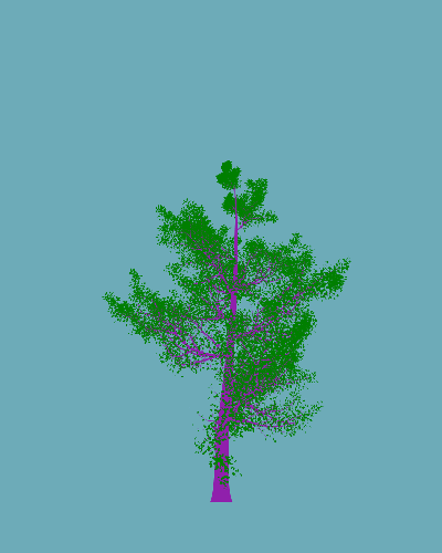 Treee